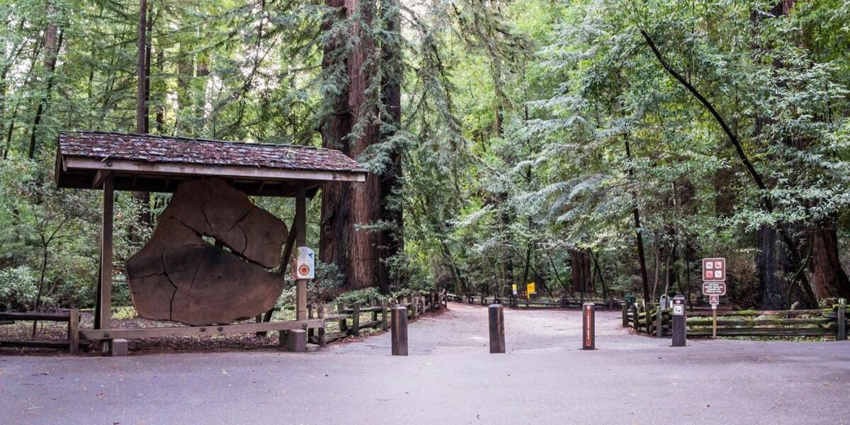 Redwood Nook - 8 Min Walk To Redwood State Park Villa Felton Exterior photo